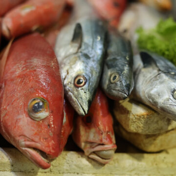 Peixes ‘queridinhos’ dos baianos para Semana Santa vão de corvina a arraia; preços variam de R$ 12 a R$ 50